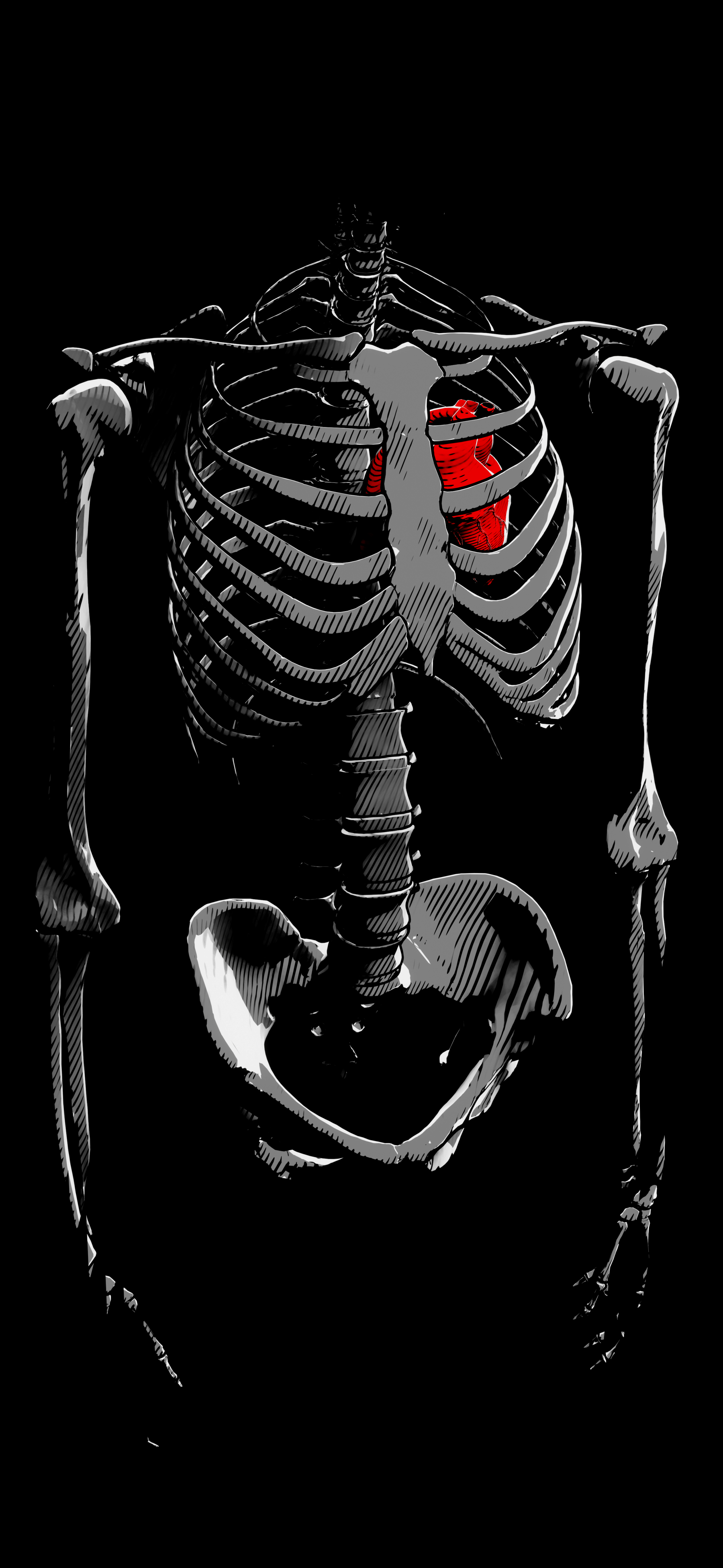 Обои на телефон скелет с сердцем